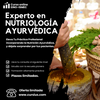 Curso Experto en Nutriología y Dietética Ayurvédica