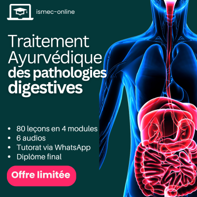 Cours Traitement Ayurvédique Pathologies Digestives