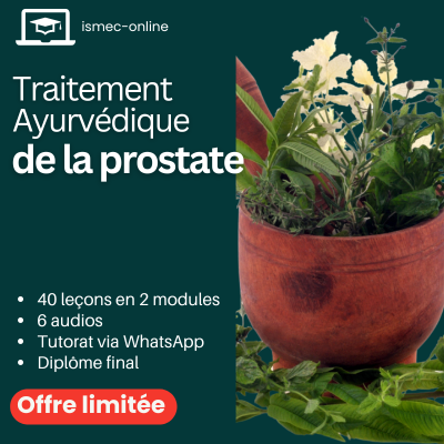 Cours Traitement ayurvédique de la prostate