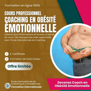 Cours Coaching pour Obésité Émotionnelle