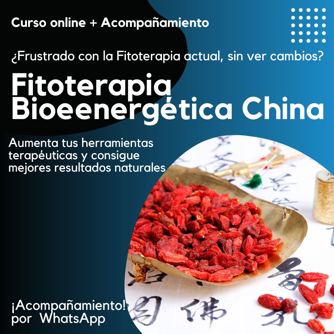 Curso Fitoterapia Bioenergética China