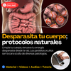 Desparasita tu cuerpo, con protocolos naturales
