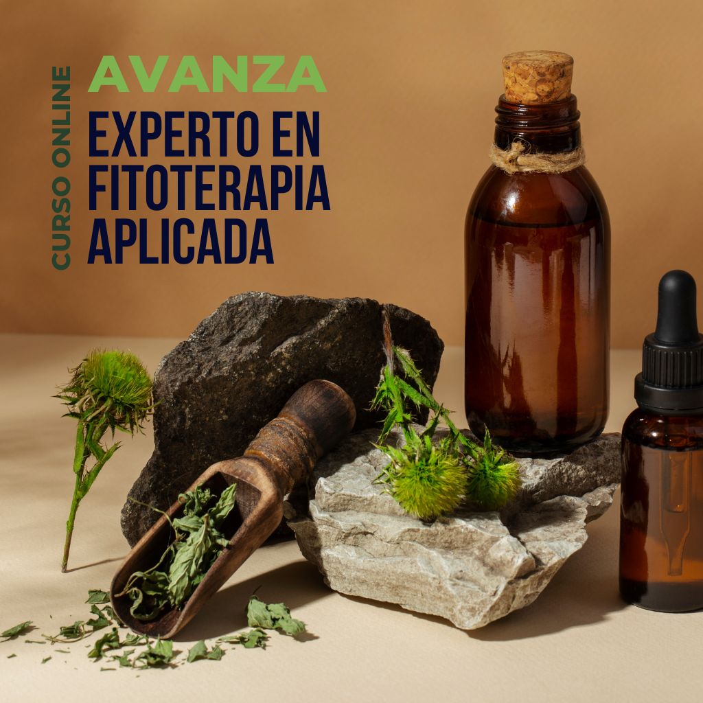 Experto en Fitoterapia Aplicada