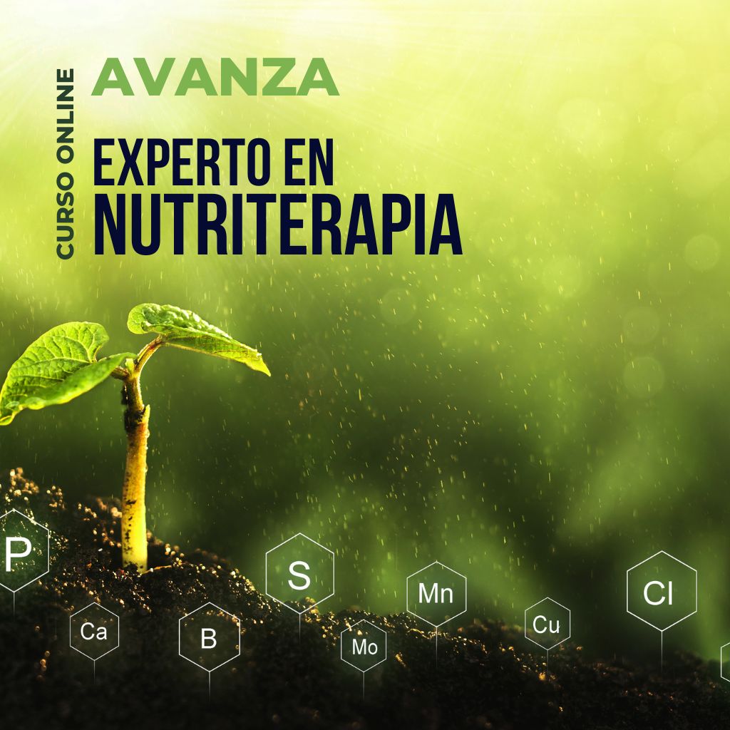 Experto en Nutriterapia