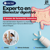 Curso Experto en Bienestar Digestivo