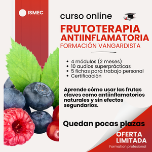 Certificación en Frutoterapia Antiinflamatoria