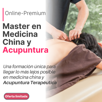 Curso Master en Medicina China y Acupuntura