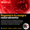 Curso Regenera tu sangre naturalmente