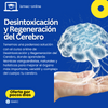 Curso Desintoxicación y Regeneración del Cerebro